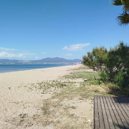 Wonderful And Cozy 50m From The Sea * Νέοι Επιβάτες